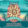 Bell's Brewery Tropical Oberon